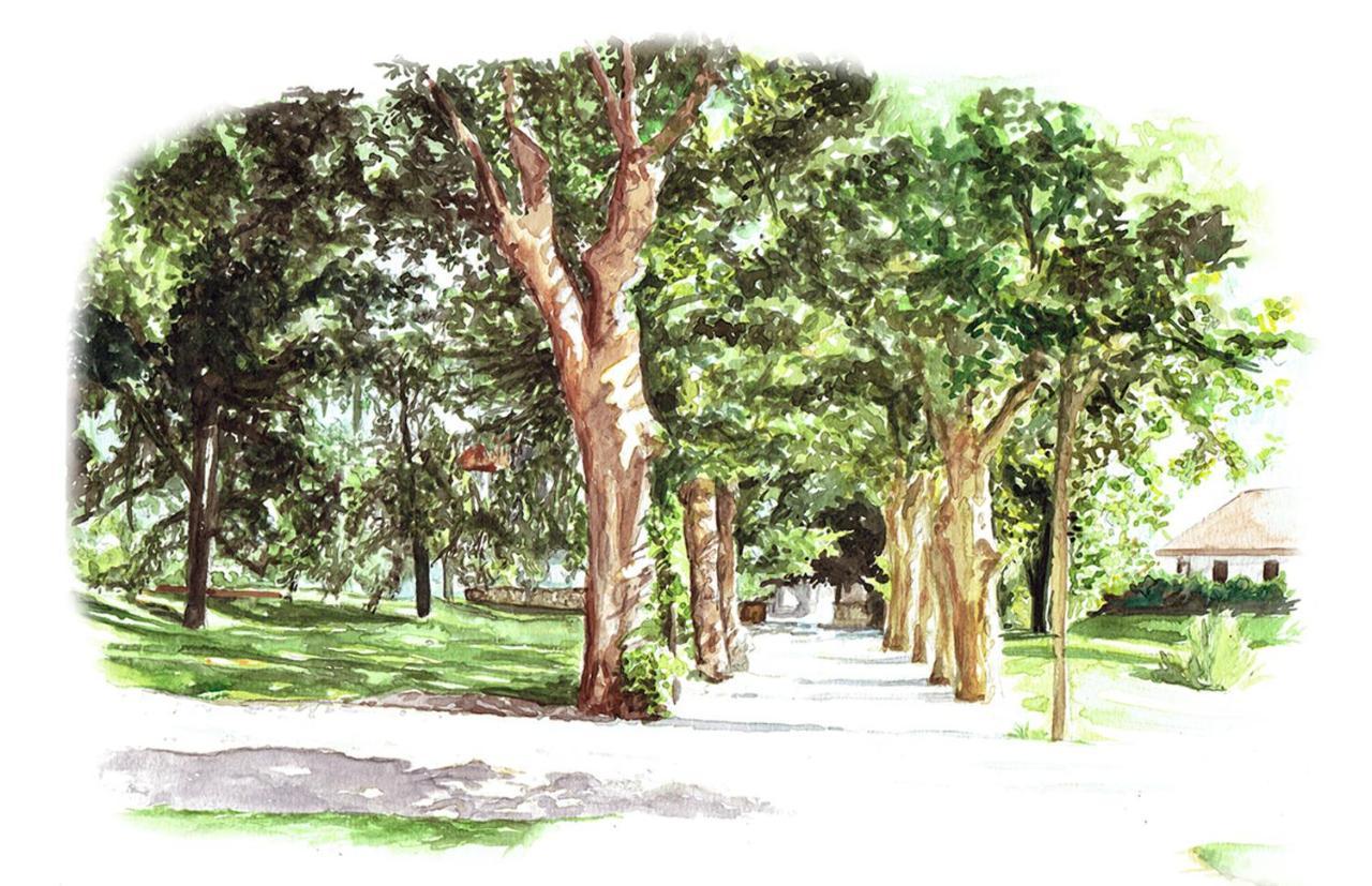Château Brachet Gresy-sur-Aix Ngoại thất bức ảnh