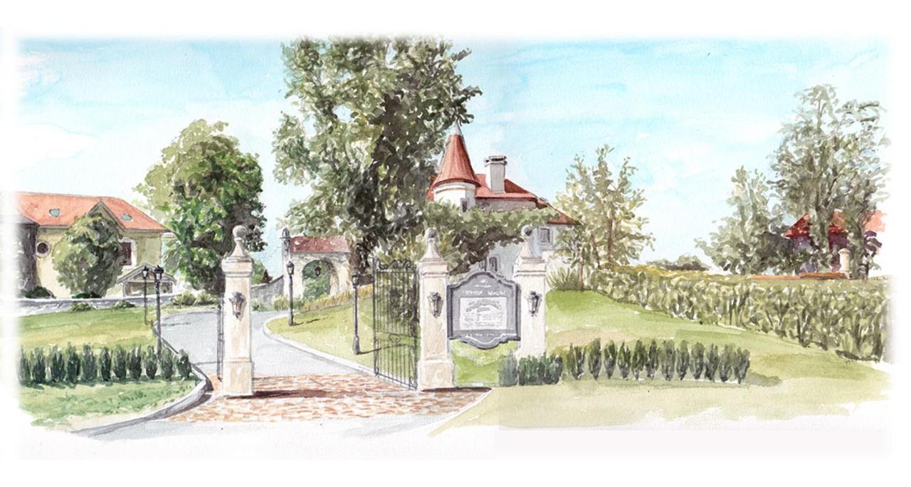Château Brachet Gresy-sur-Aix Ngoại thất bức ảnh